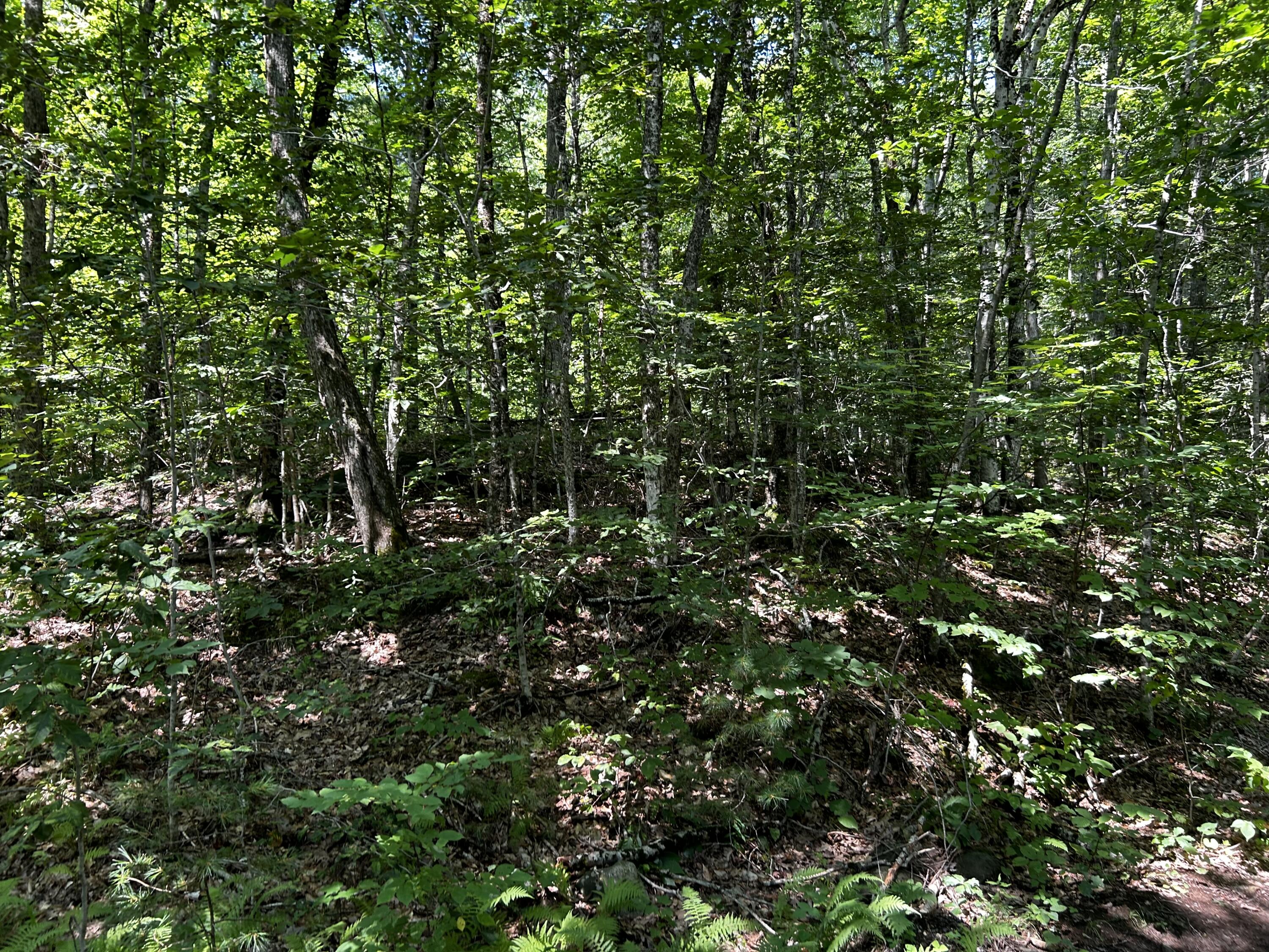 0 Happy Valley Road Newcastle, ME 04553 - Photo 3 of 6 IMG_5849