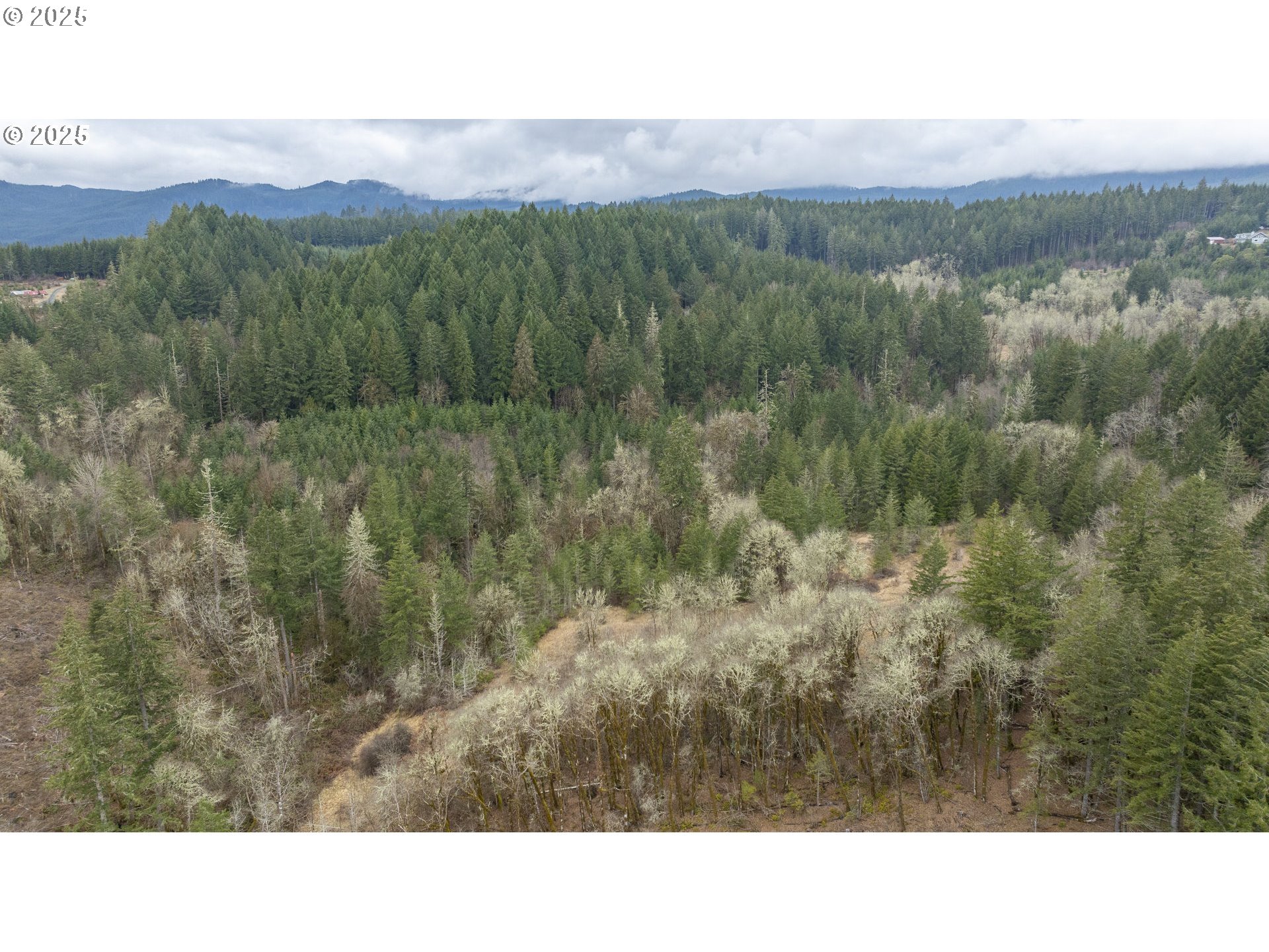 0 Northwest Panther Creek Road Yamhill, OR 97148 - Photo 23 of 28