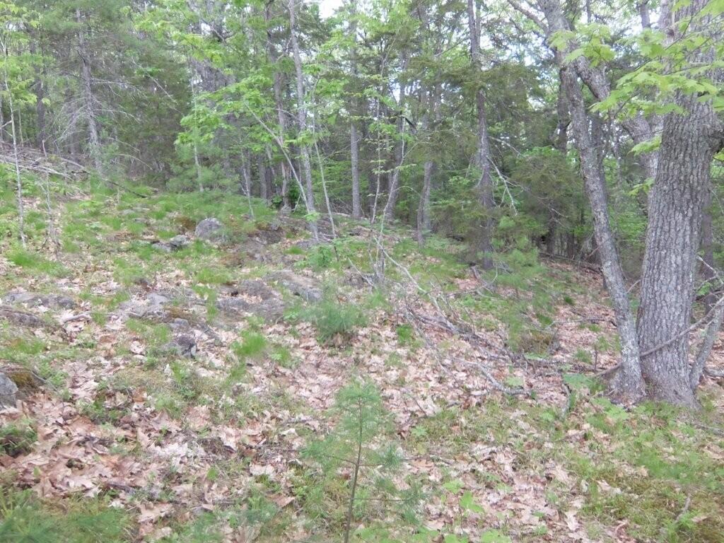0 Hatchet Mountain Road Hope, ME 04847 - Photo 27 of 31 DSCF4100