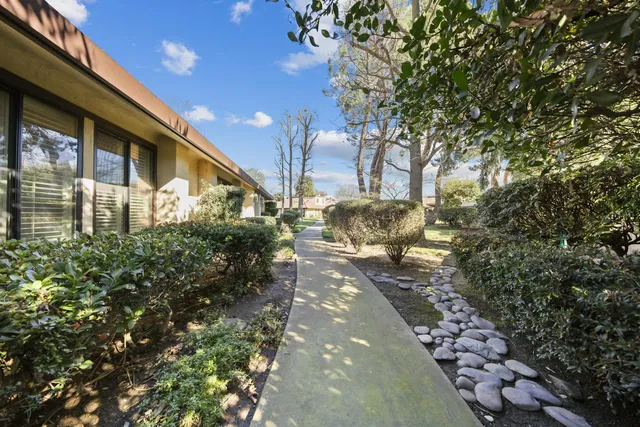a view of a large yard with plants and large trees