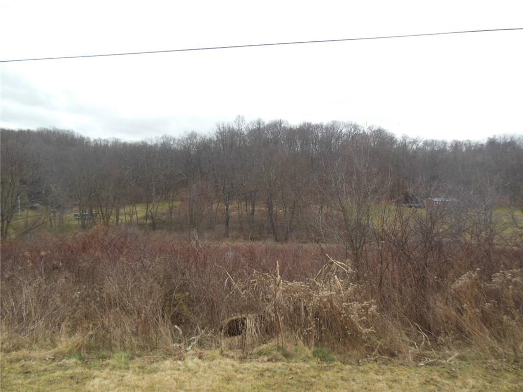 Lot Walker Road Apollo, PA 15613 - Photo 1 of 6 Gallery Image 1