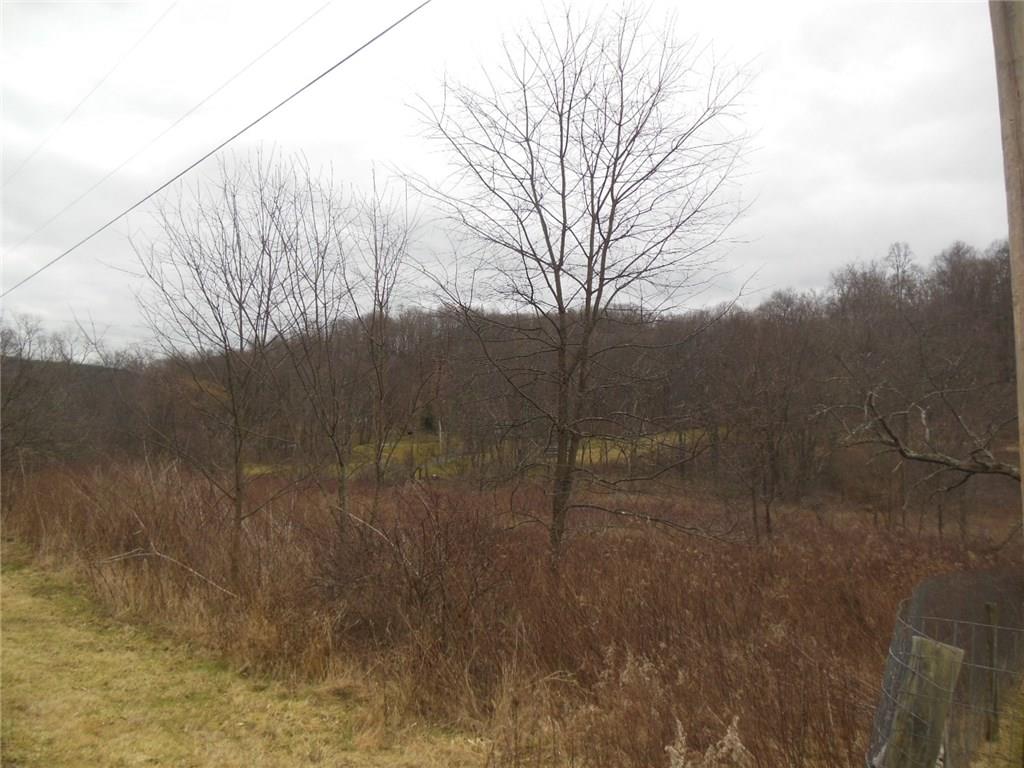 Lot Walker Road Apollo, PA 15613 - Photo 6 of 6 Gallery Image 6