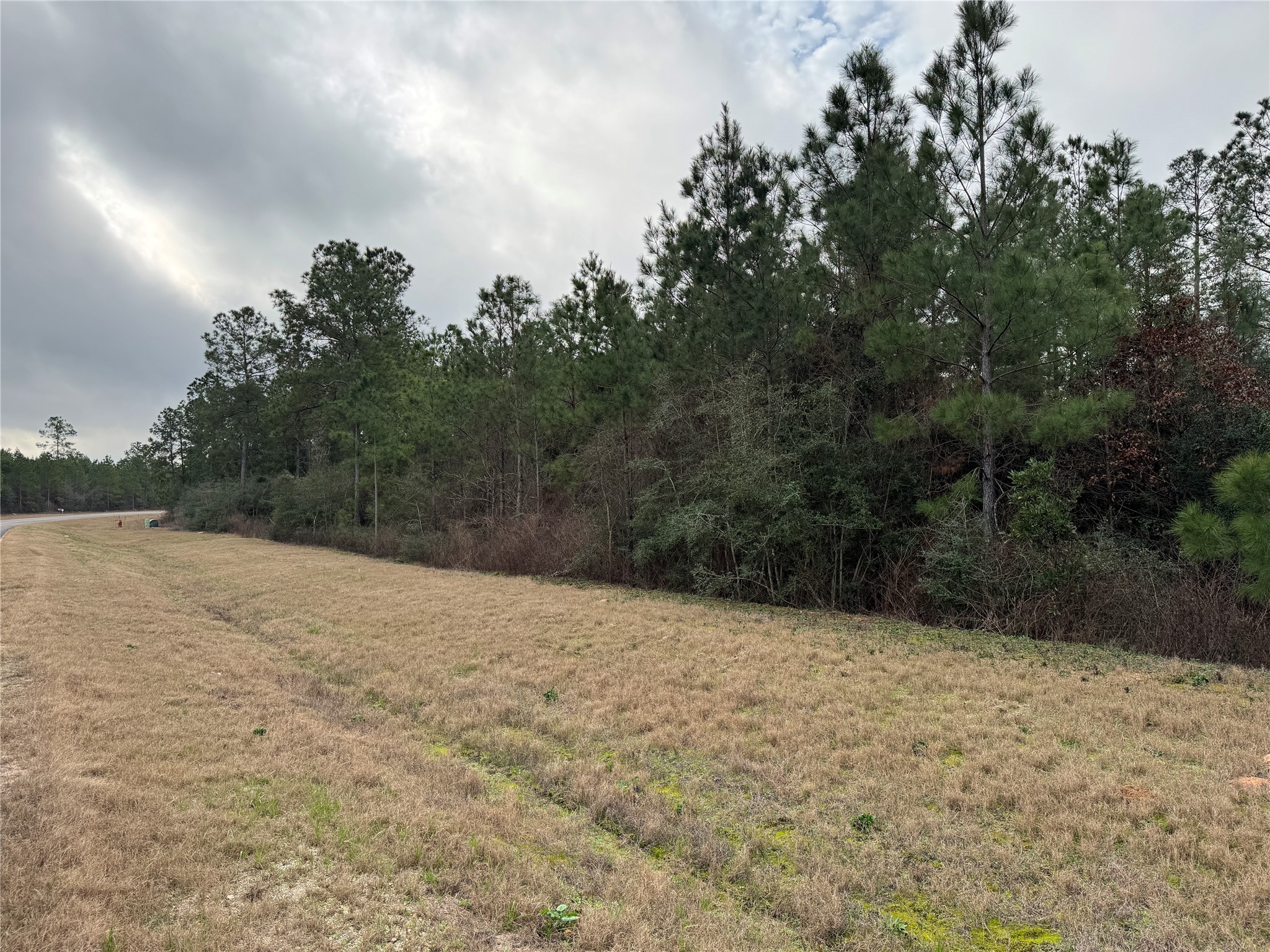 11700 Grand N Road Willis, TX 77378 - Photo 8 of 16 a view of large trees with sky view