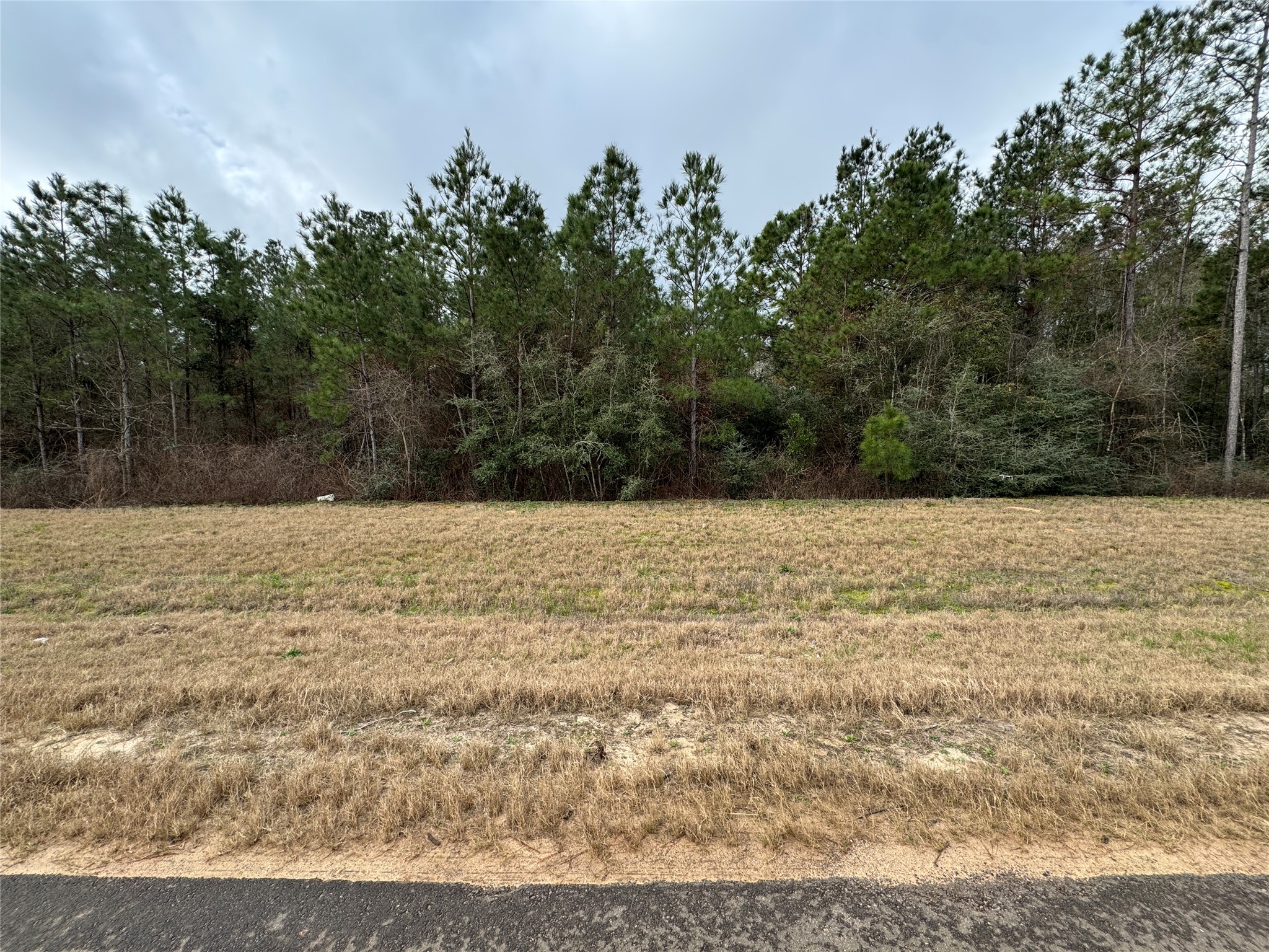 11700 Grand N Road Willis, TX 77378 - Photo 10 of 16 a view of a yard