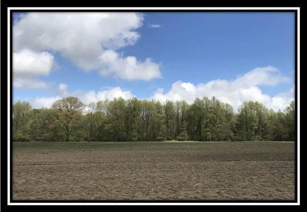 6621 Howard Road Sunbury, OH 43074 - Photo 11 of 22