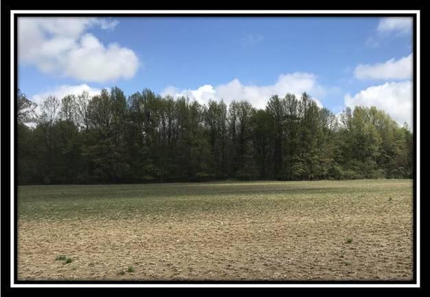 6621 Howard Road Sunbury, OH 43074 - Photo 13 of 22