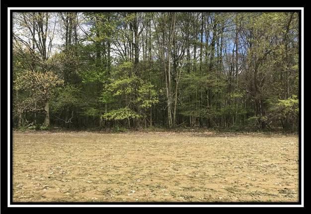 6621 Howard Road Sunbury, OH 43074 - Photo 14 of 22