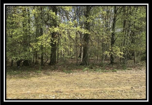 6621 Howard Road Sunbury, OH 43074 - Photo 16 of 22