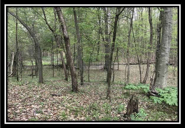 6621 Howard Road Sunbury, OH 43074 - Photo 18 of 22