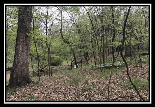 6621 Howard Road Sunbury, OH 43074 - Photo 3 of 22