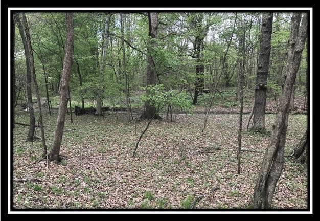 6621 Howard Road Sunbury, OH 43074 - Photo 4 of 22