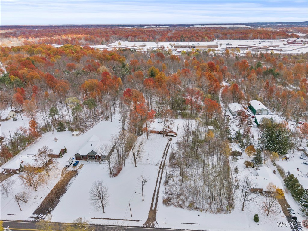 4037 Calkins Road Lewiston, NY 14174 - Photo 43 of 49