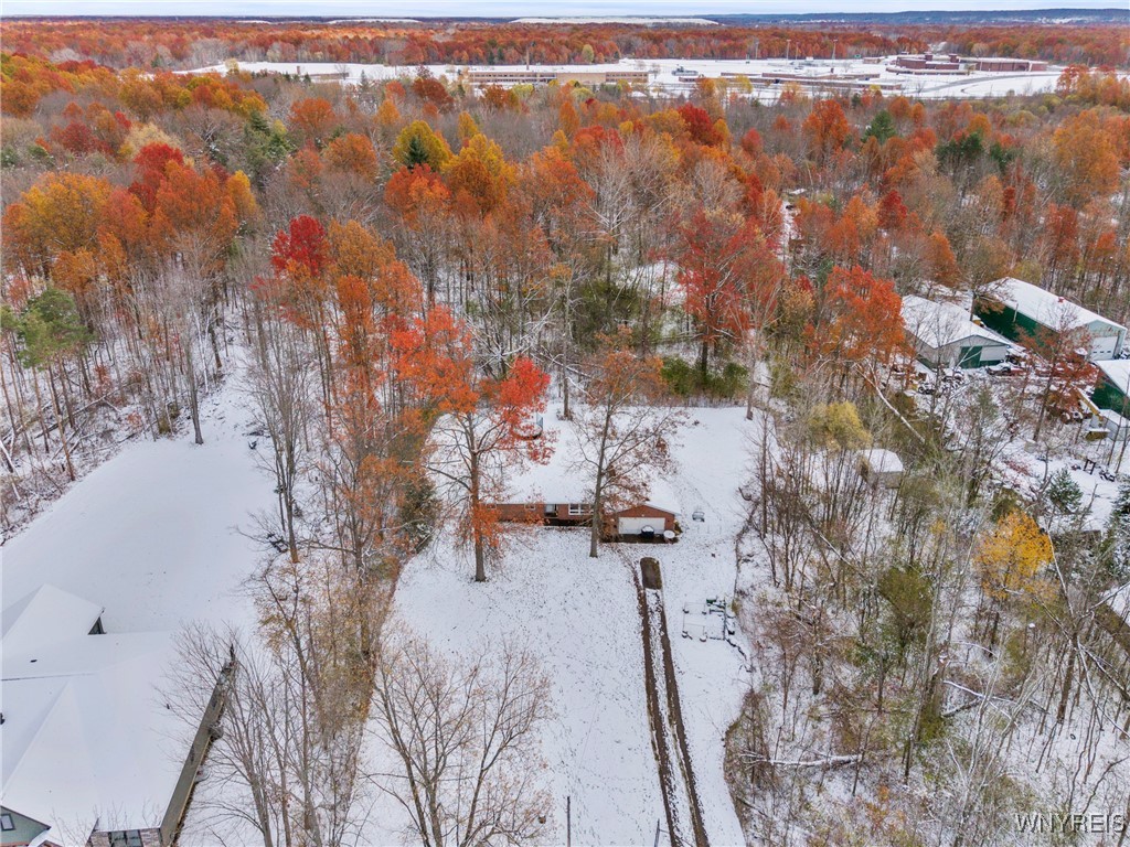 4037 Calkins Road Lewiston, NY 14174 - Photo 45 of 49