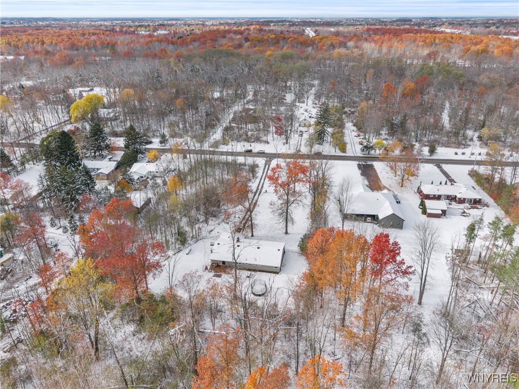 4037 Calkins Road Lewiston, NY 14174 - Photo 47 of 49