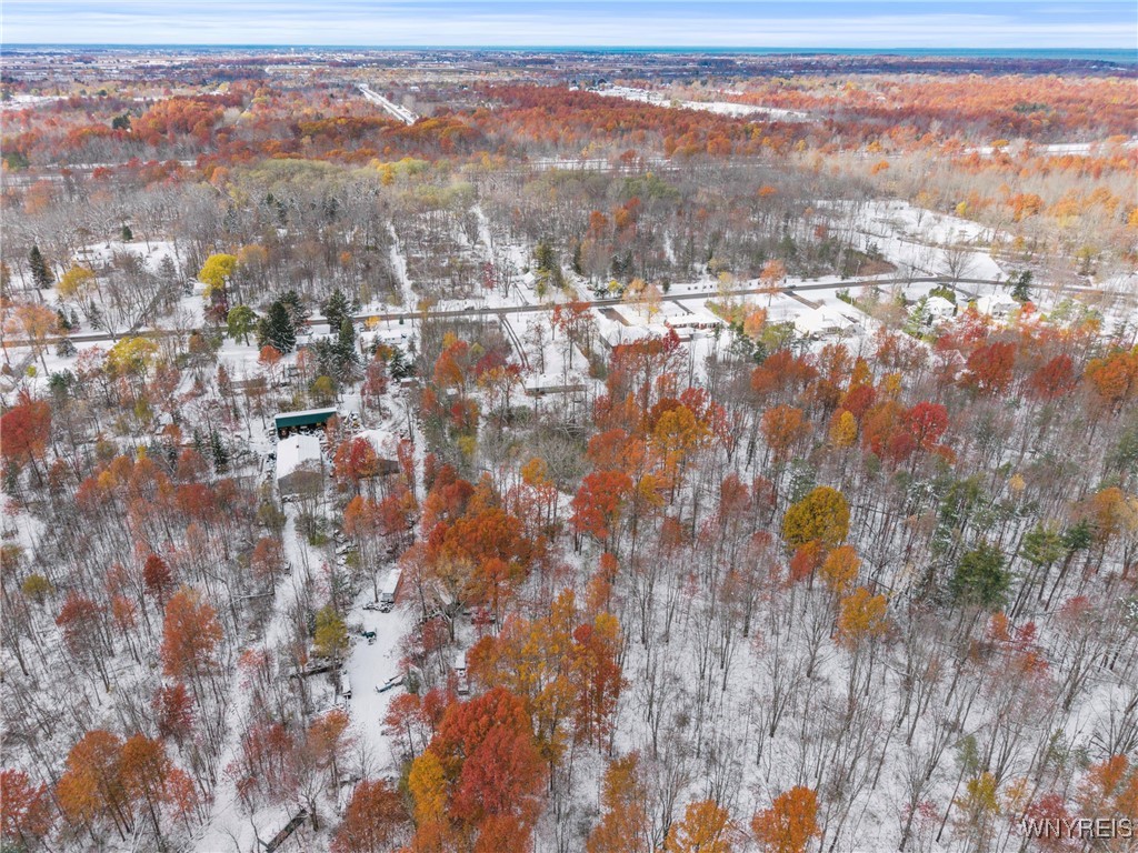 4037 Calkins Road Lewiston, NY 14174 - Photo 48 of 49