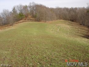 0 Buck Run Road Mineral Wells, WV 26150 - Photo 3 of 7