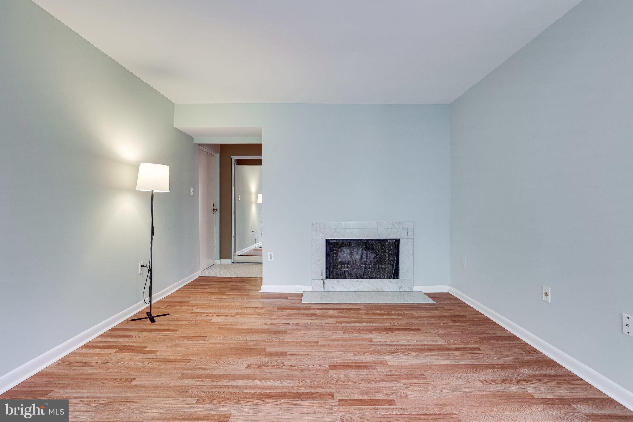 2210 Springwood Drive, Unit 207 Reston, VA 20191 - Photo 10 of 28 Living Room with Fireplace