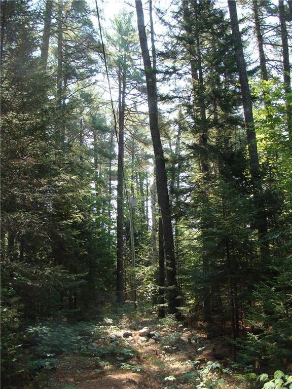 0 Lyons Den Road Northfield, ME 04654 - Photo 17 of 17 Photo