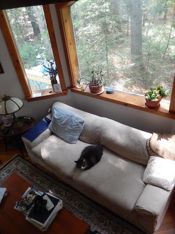 85 Dolloff Road Monroe, ME 04951 - Photo 19 of 28 20190603180432559029000000-o - Copy