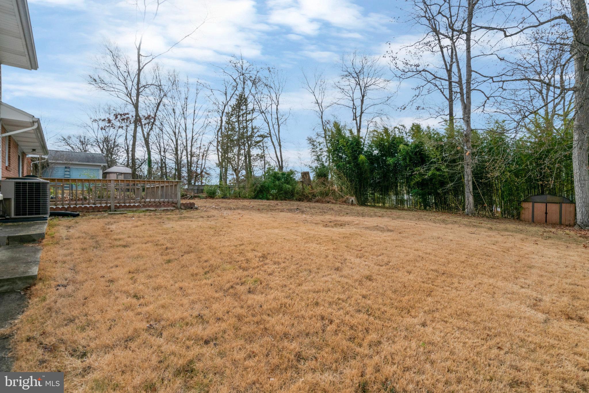 5407 Moultrie Road Springfield, VA 22151 - Photo 10 of 11 Expansive Backyard