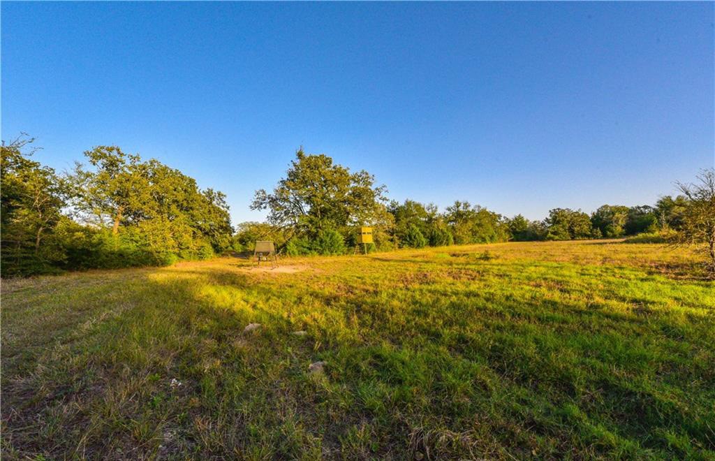 12200 Winn Road Franklin, TX 77856 - Photo 31 of 33 a view of yard and ocean view