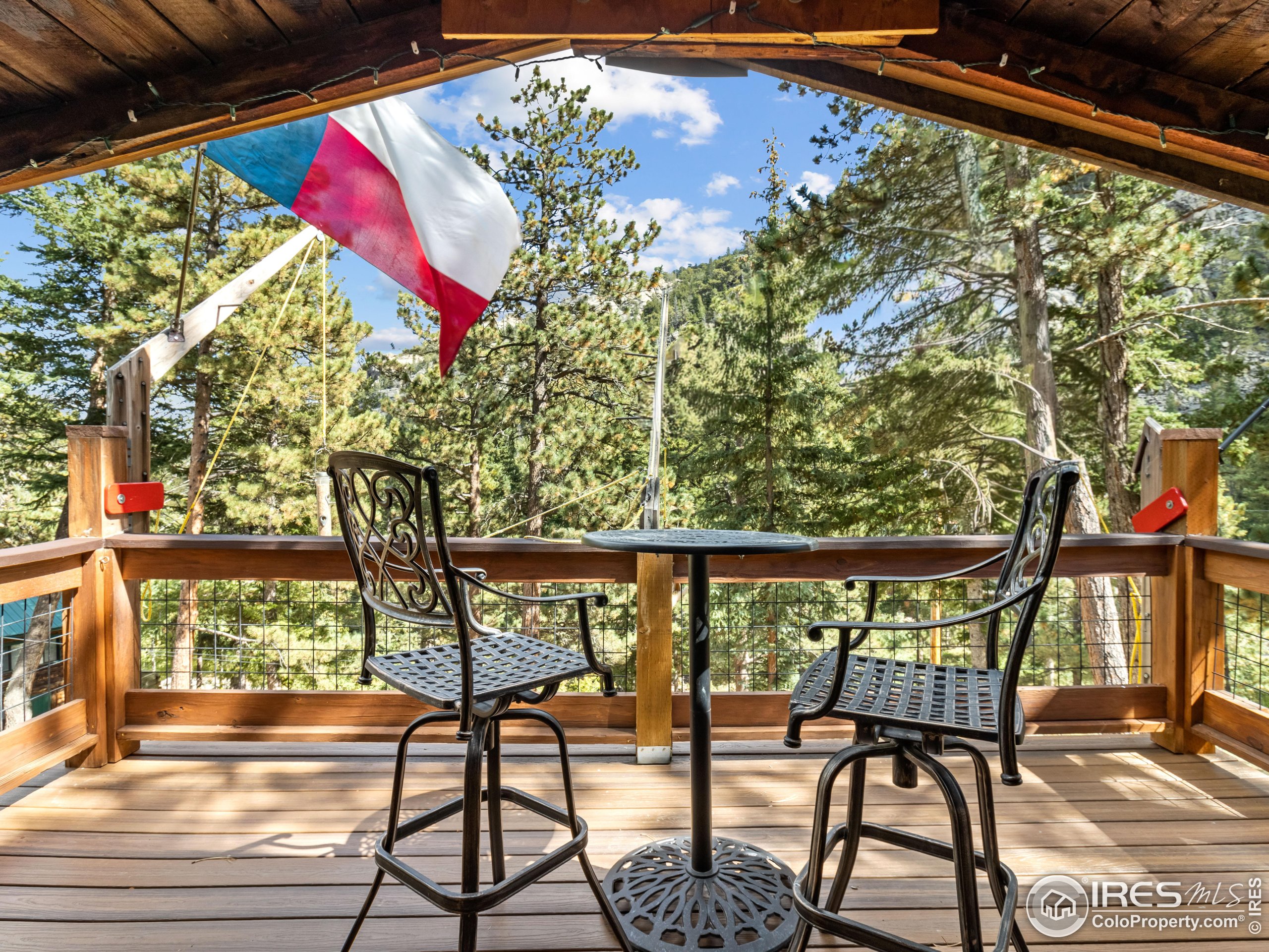 3154 Riverside Drive Lyons, CO 80540 - Photo 29 of 32