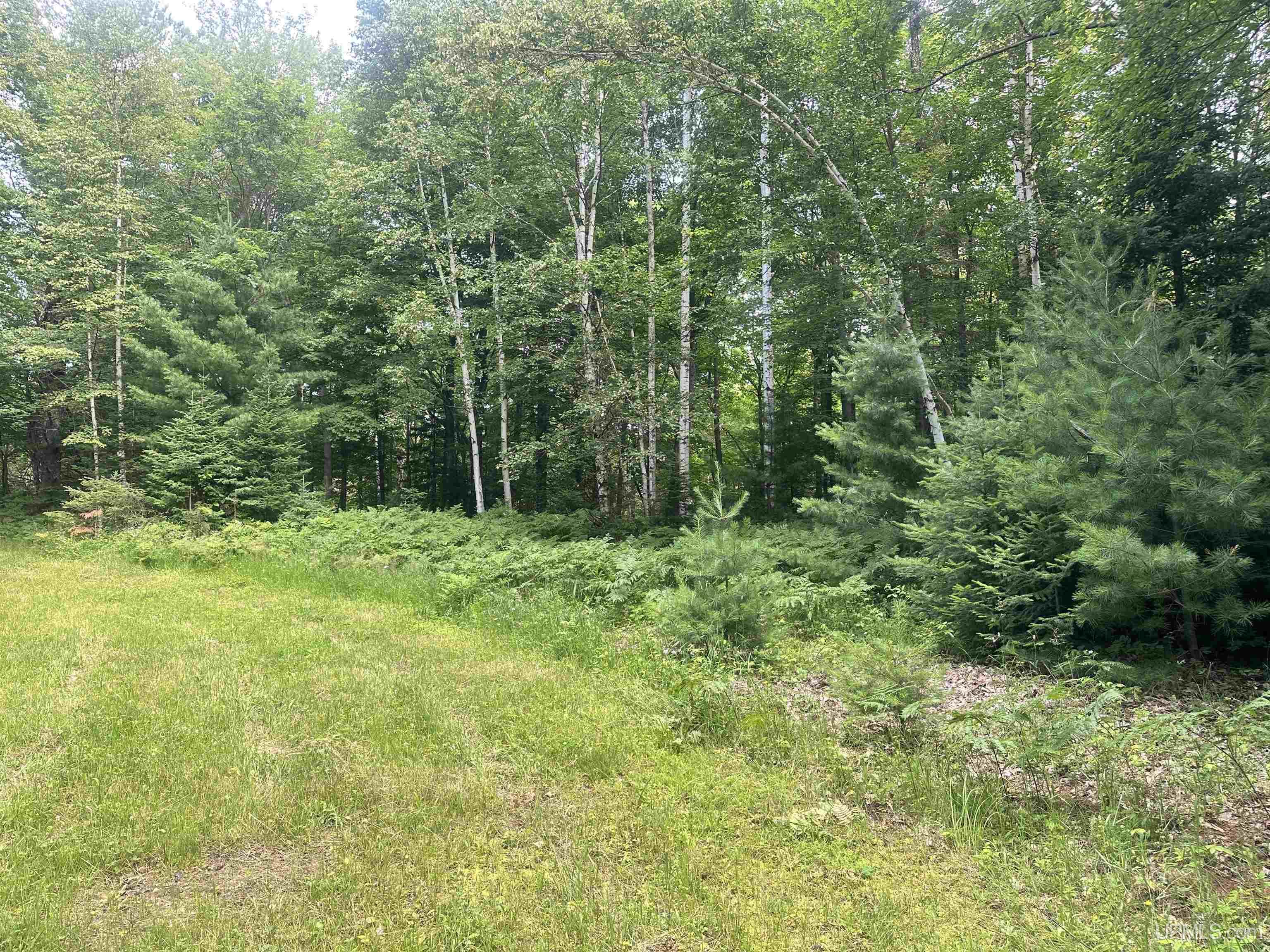 124 Wilderness Road Negaunee, MI 49866 - Photo 3 of 23 Gallery Image 3