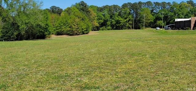 a view of a field with trees in the background