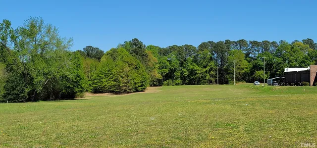 a view of a field with a tree in the background