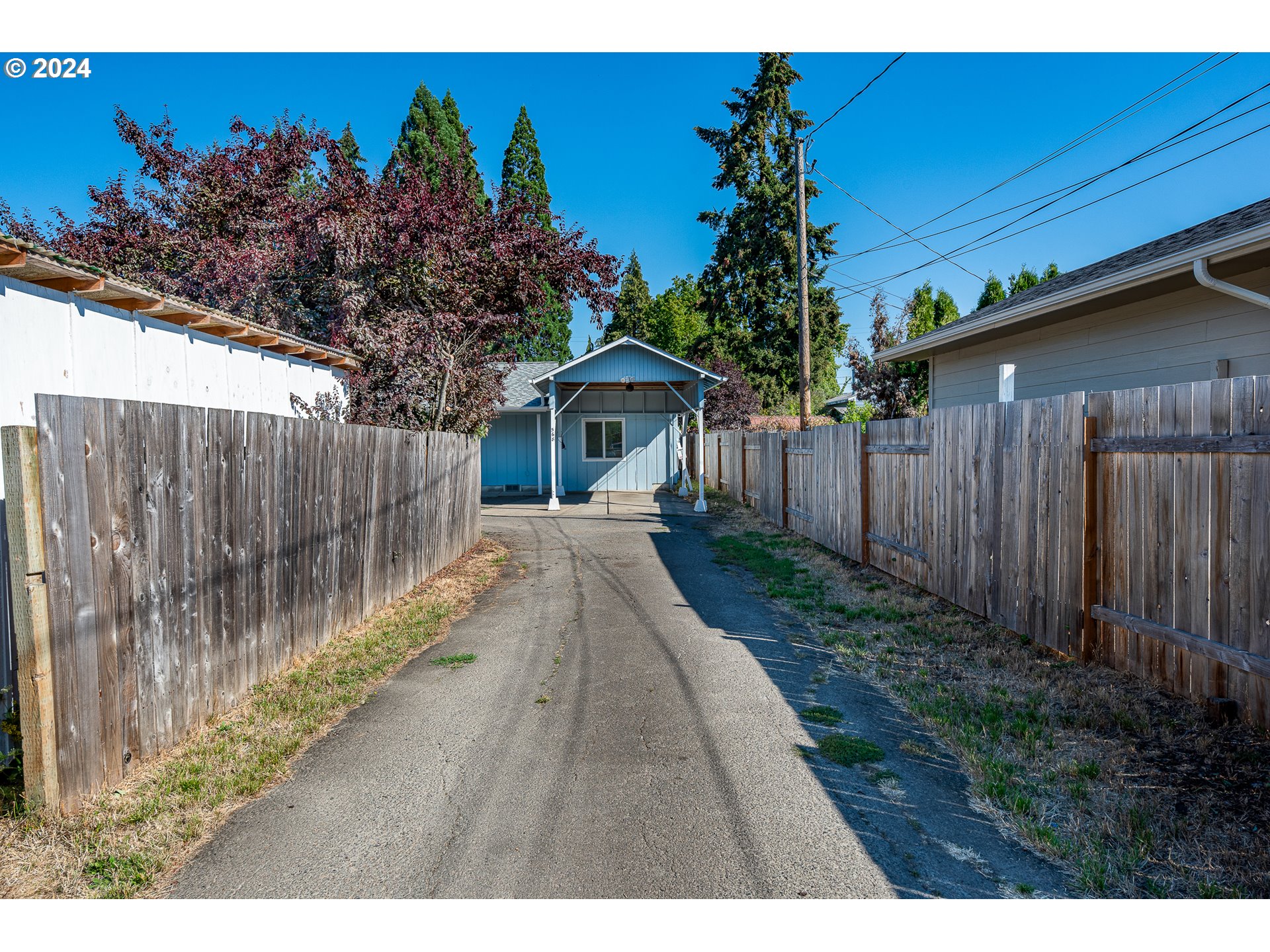 568 Night Hawk Lane Springfield, OR 97477 - Photo 5 of 32