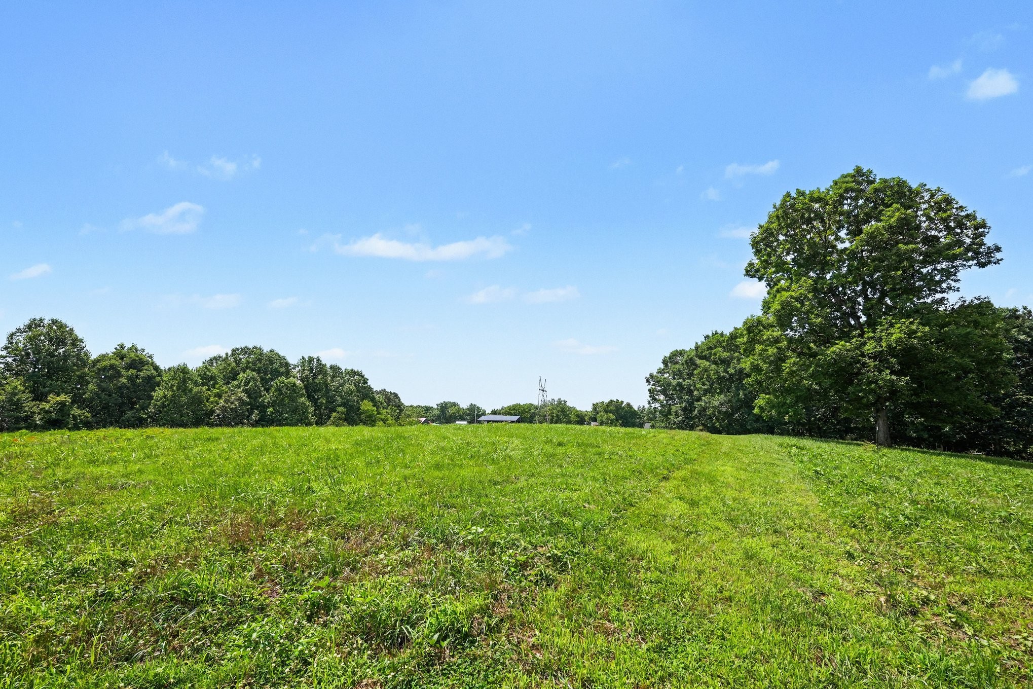 609 Stacy Road White Bluff, TN 37187 - Photo 26 of 36