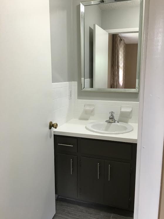 6056 Highway 76 East Springfield, TN 37172 - Photo 11 of 21 a bathroom with a sink and a mirror