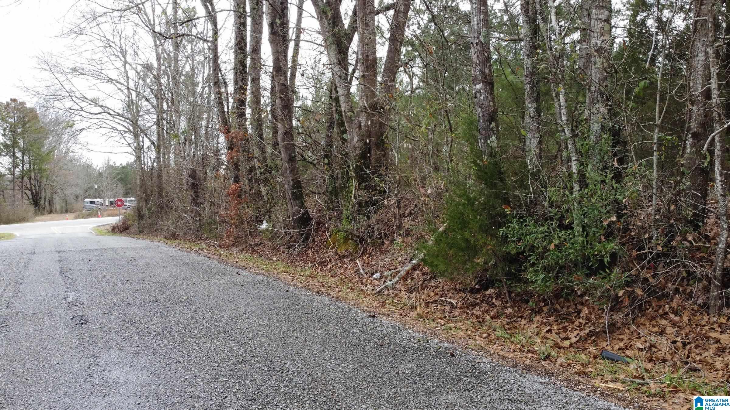 0 County Road 511, Unit 1 Verbena, AL 36091 - Photo 5 of 10