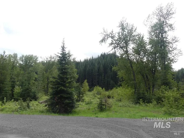 $175,000 | 150 French Mountain Road, Pierce, ID 83546
