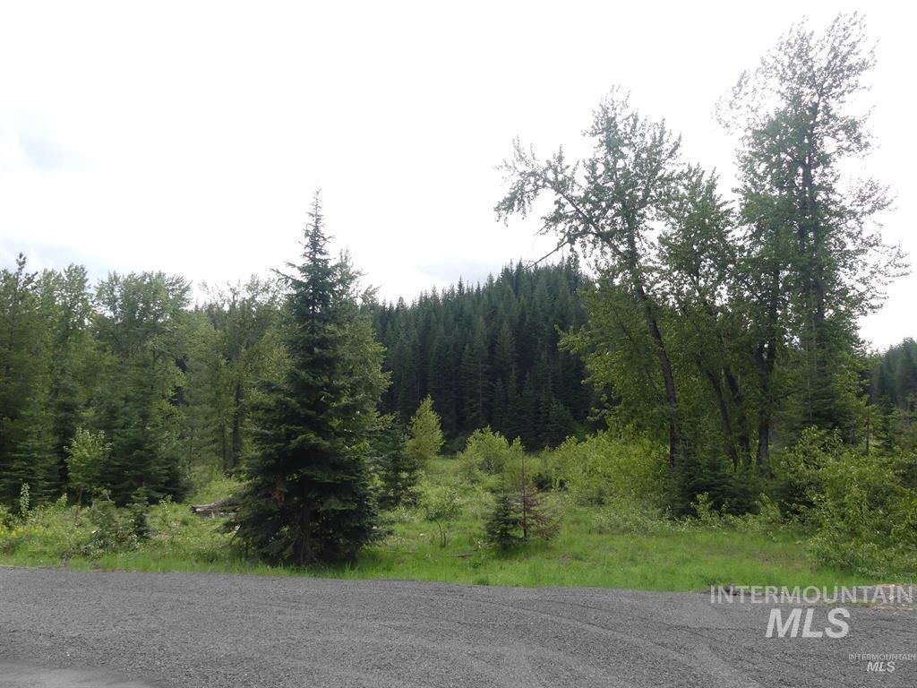 150 French Mountain Road Pierce, ID 83546 - Photo 11 of 15