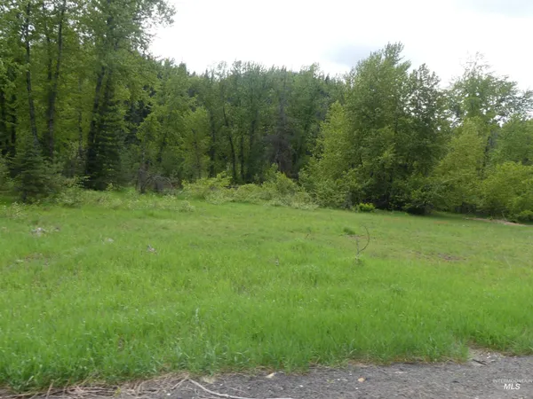 $175,000 | 150 French Mountain Road, Pierce, ID 83546