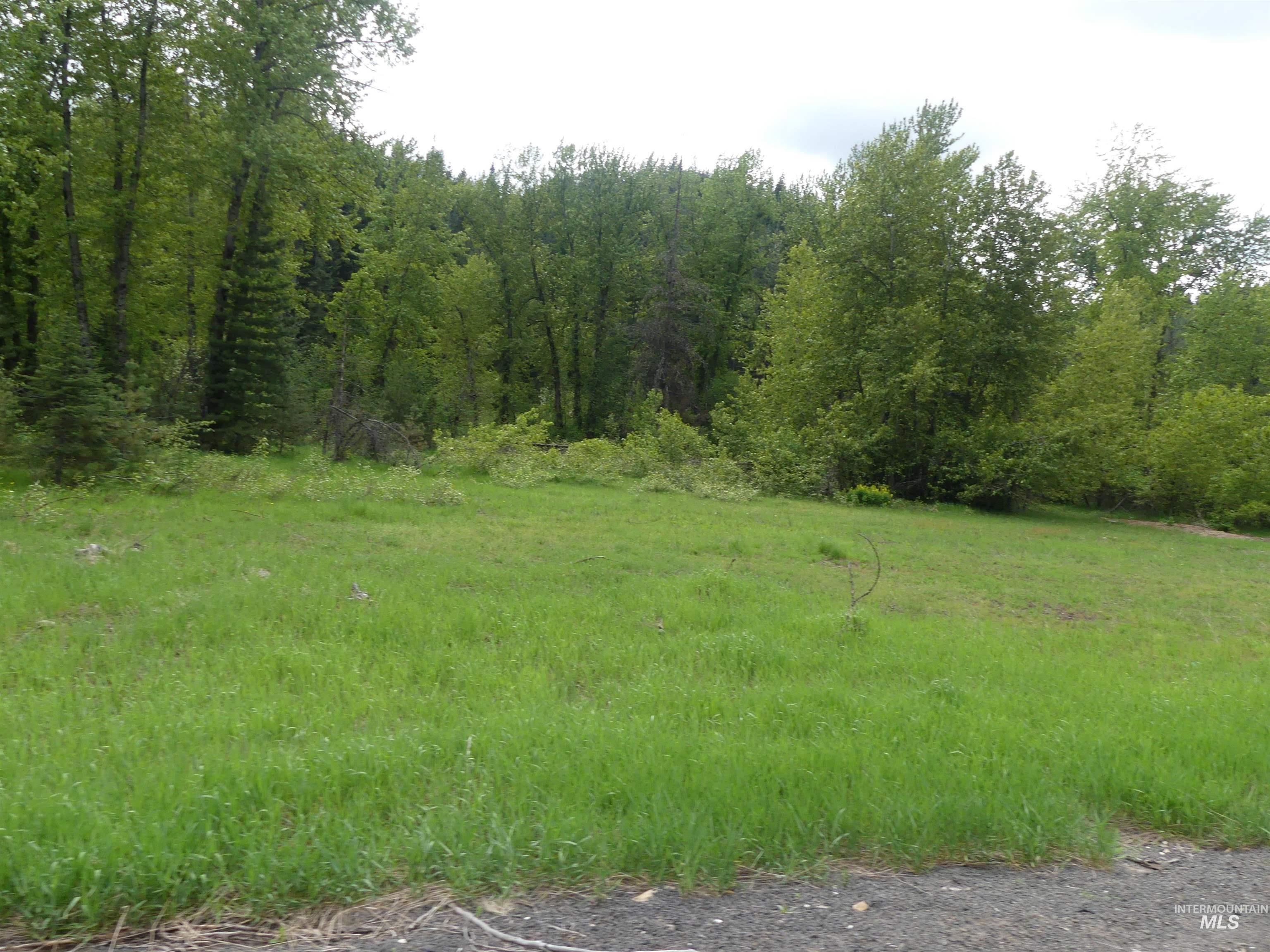 150 French Mountain Road Pierce, ID 83546 - Photo 13 of 15