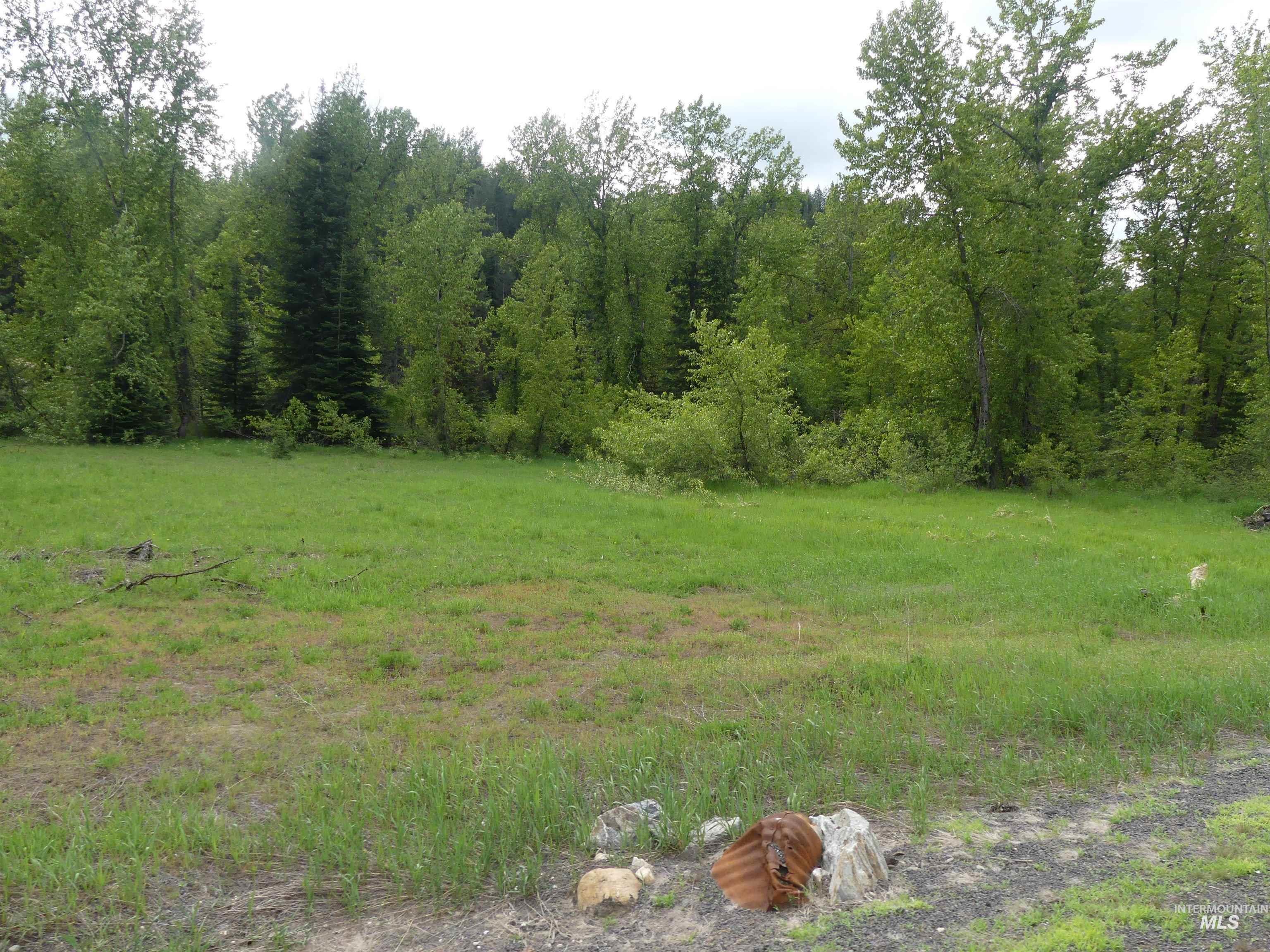 150 French Mountain Road Pierce, ID 83546 - Photo 15 of 15