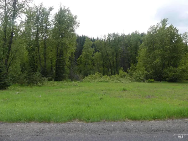 $175,000 | 150 French Mountain Road, Pierce, ID 83546