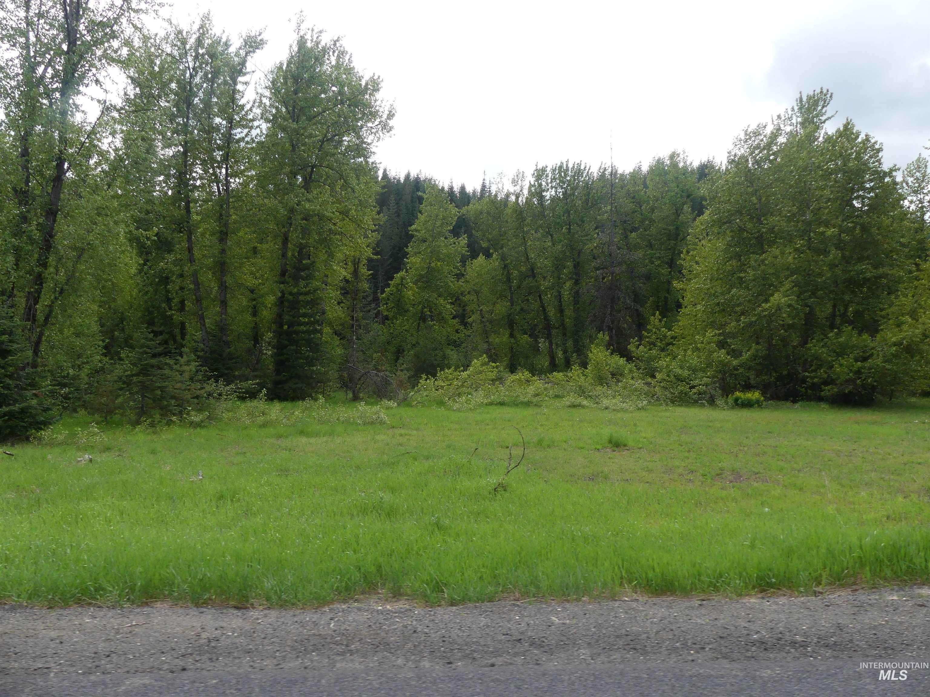150 French Mountain Road Pierce, ID 83546 - Photo 7 of 15