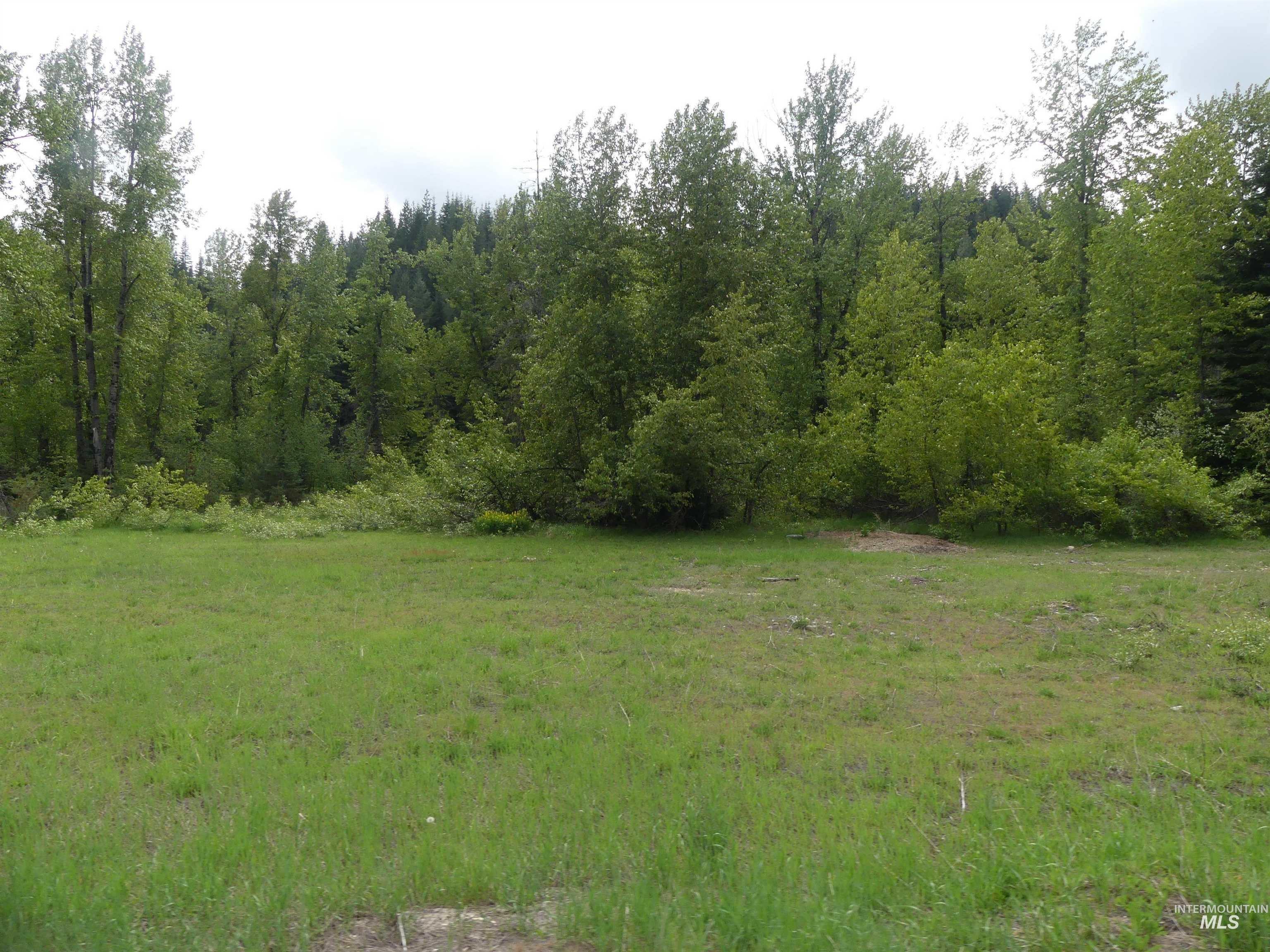 150 French Mountain Road Pierce, ID 83546 - Photo 8 of 15