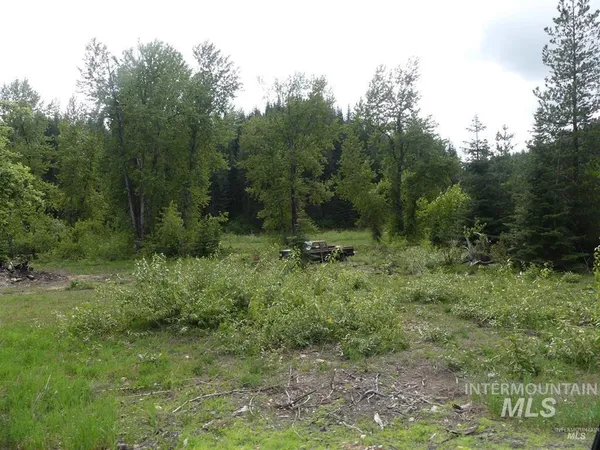 $175,000 | 150 French Mountain Road, Pierce, ID 83546