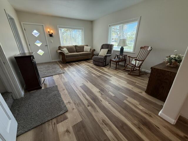 272 Scott Street Morley, MI 49336 - Photo 5 of 45