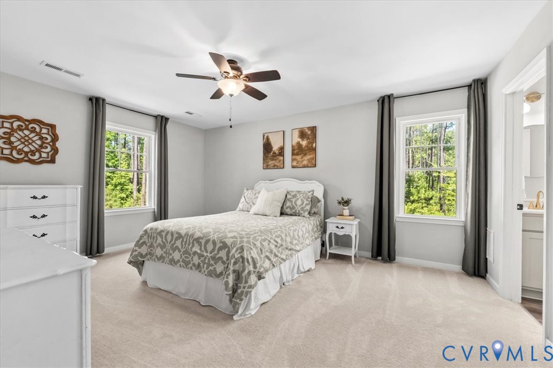 2033 Moseley Road Moseley, VA 23120 - Photo 33 of 50