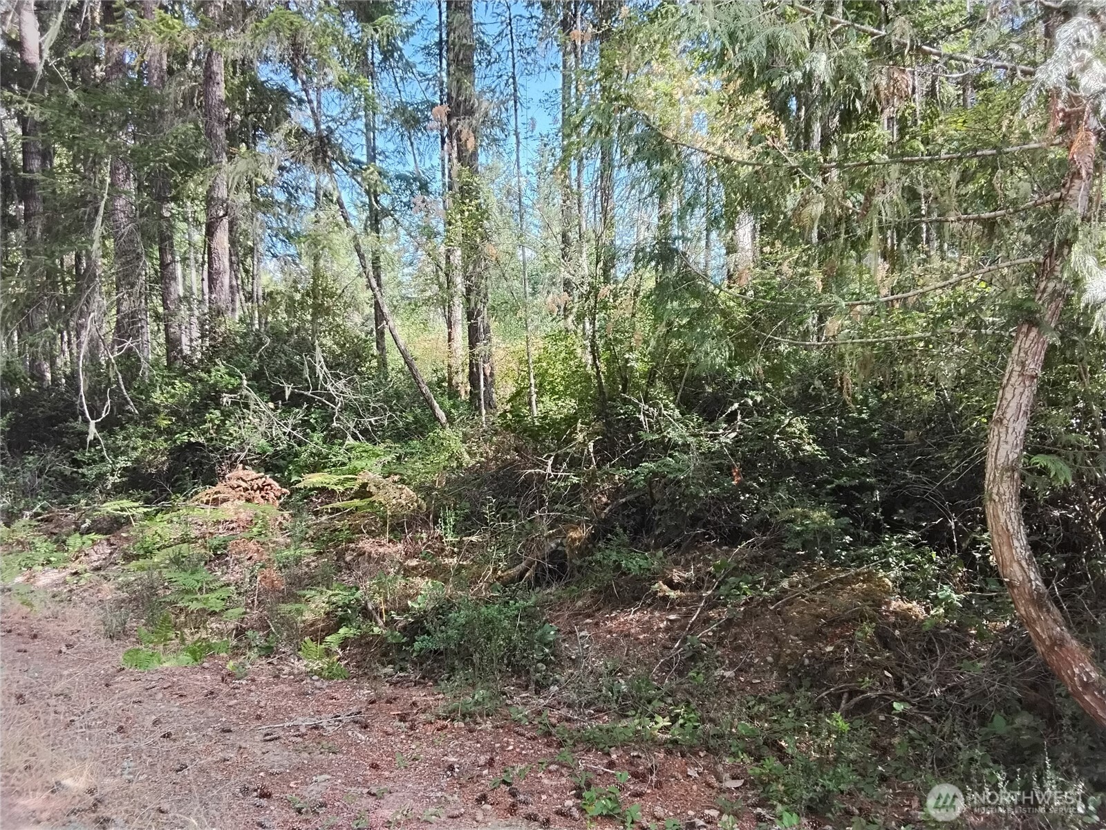 0 East Frontier Road Grapeview, WA 98546 - Photo 5 of 35 Gallery Image 5