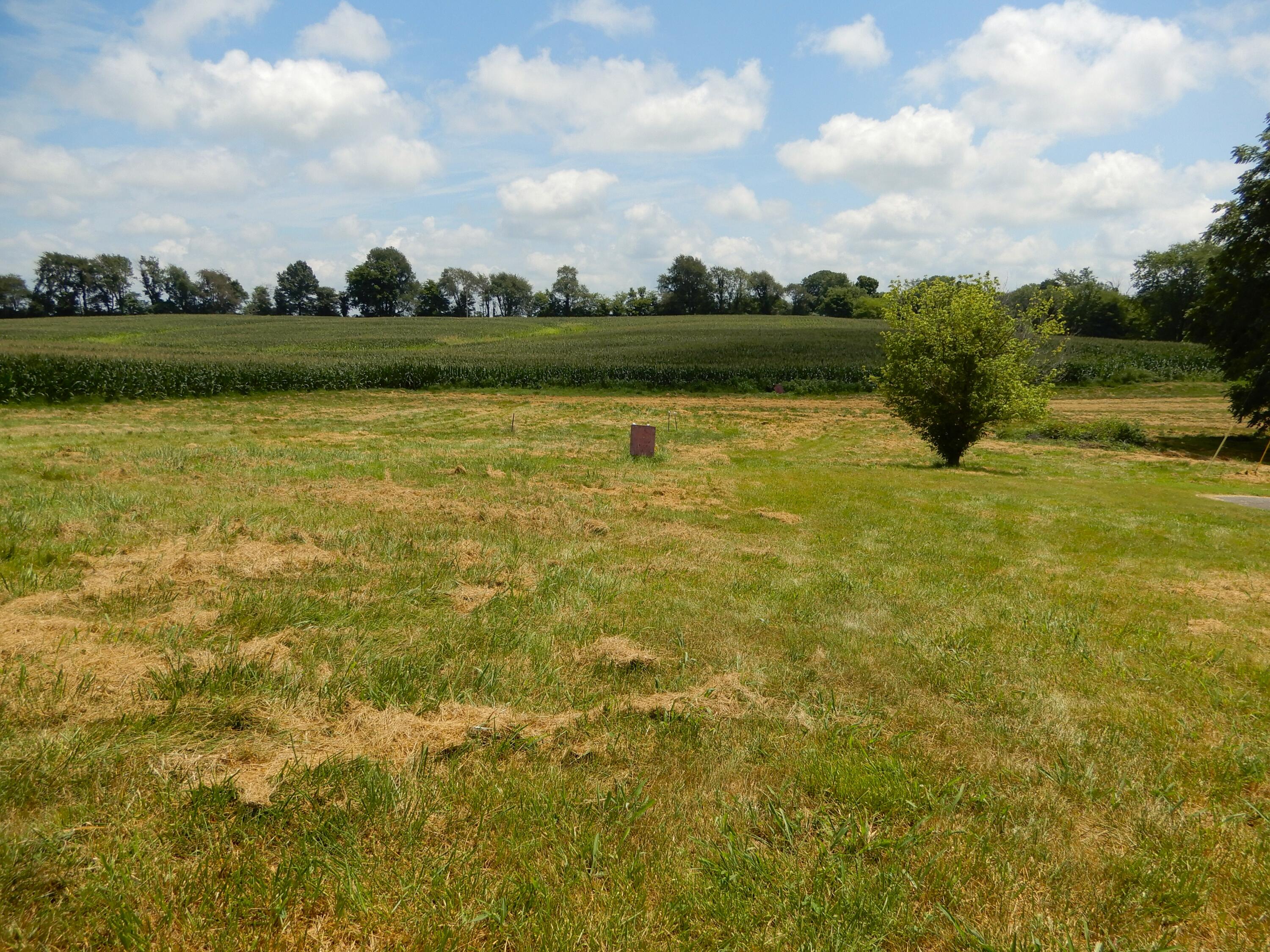 1875 State Route 384 Fancy Farm, KY 42039 - Photo 59 of 72 DSCN7240
