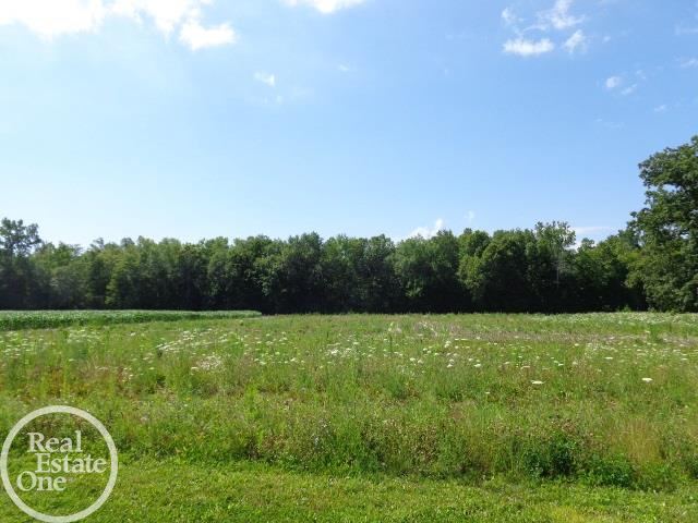 8171 Bryce Road Avoca, MI 48006 - Photo 24 of 29