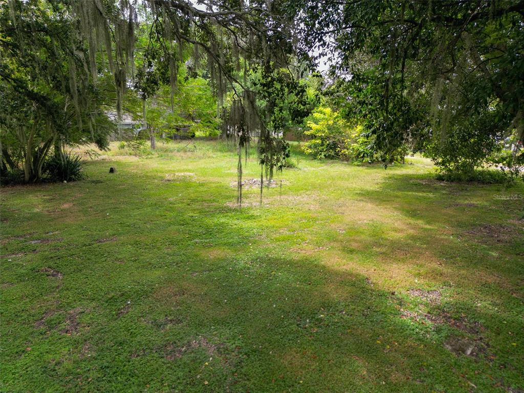302 Pine Street Dundee, FL 33838 - Photo 4 of 5 a view of yard with green space and trees all around