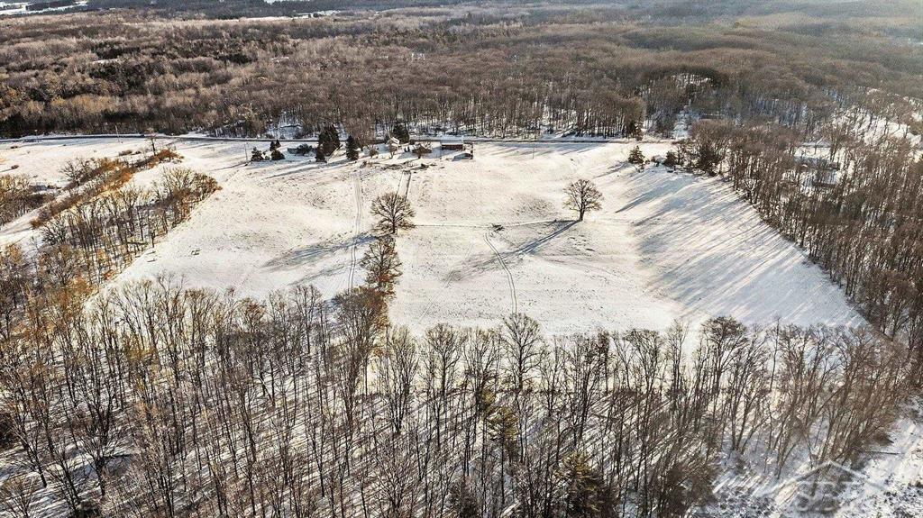 11851 North Crystal Road Vestaburg, MI 48891 - Photo 40 of 52