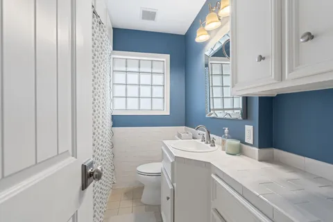 a bathroom with a sink a toilet and vanity